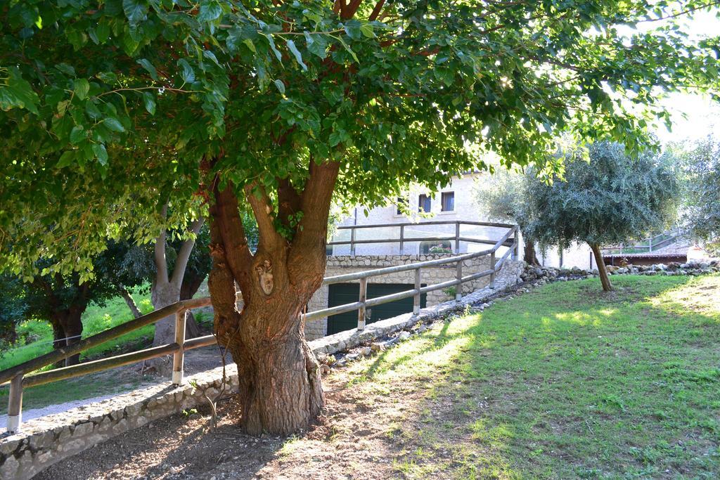 Casale La Rocchetta Bed & Breakfast Lonigo Exterior photo